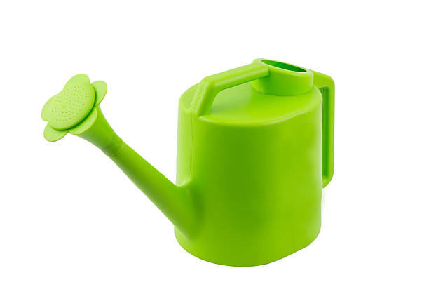 istock green watering can isolated on white background 500405483