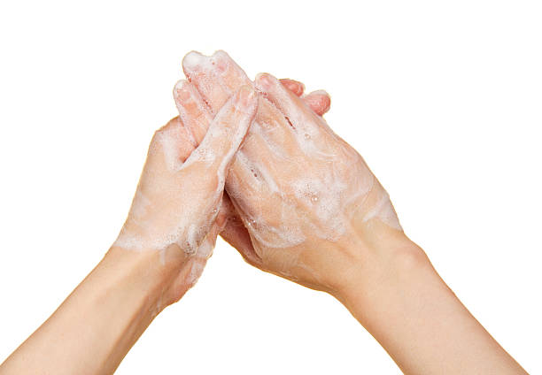 istock Hands in the foam of soap 500406625