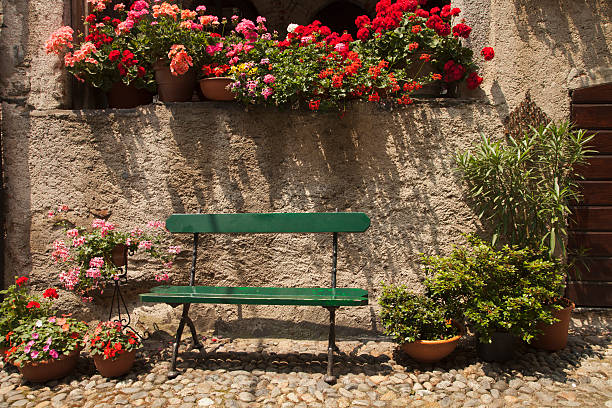 istock Single, green, wooden bench in front of geraniums 500407431