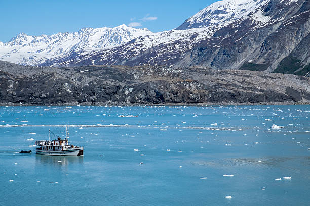 istock Glacier Bay National Park Alaska 500407997