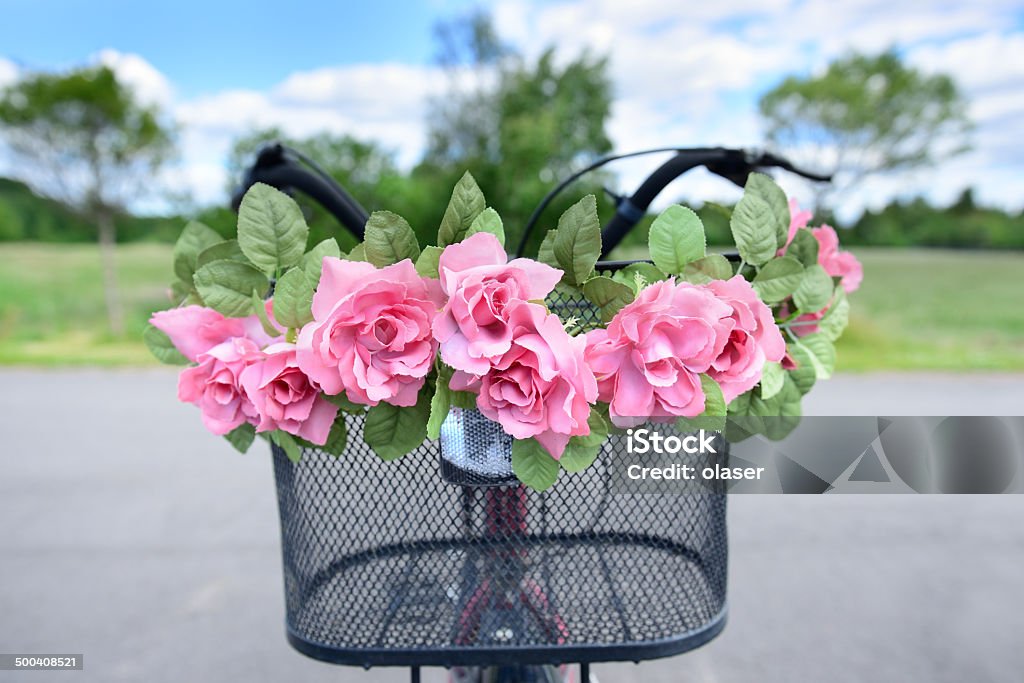 Estate bicicletta con fiori. - Foto stock royalty-free di Albero