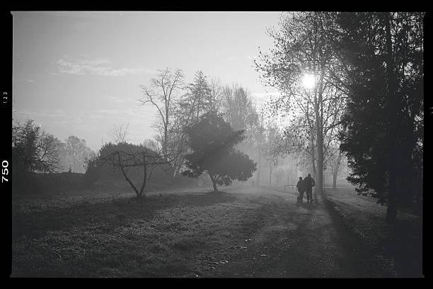 istock City Park. Winter scene 500420610