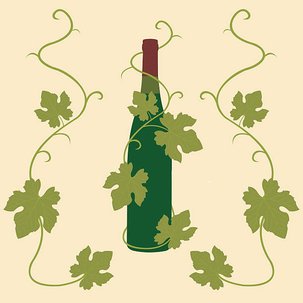 와인 및 포도 잎 - branch glass wine berry fruit stock illustrations