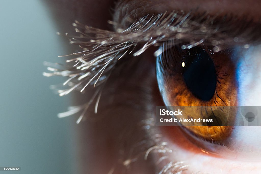 Macro Human Eye Macro human brown eye looking Sensory Perception Stock Photo