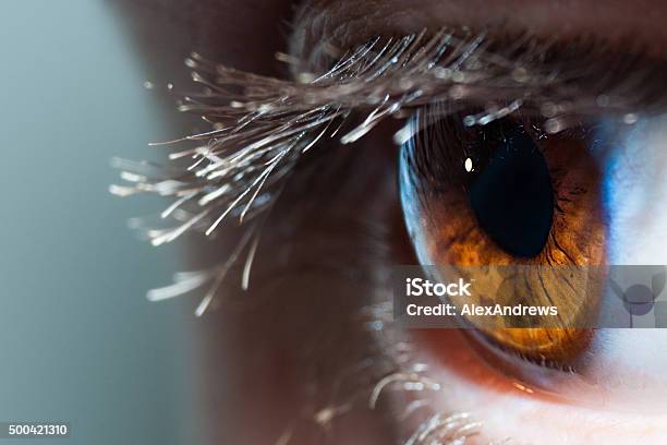 Macro Human Eye Stock Photo - Download Image Now - Sensory Perception, Eye, Human Eye