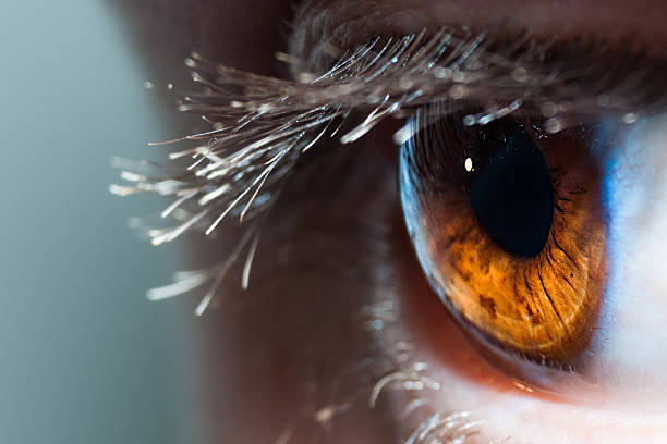 macro olho humano - sensory perception eyeball human eye eyesight imagens e fotografias de stock