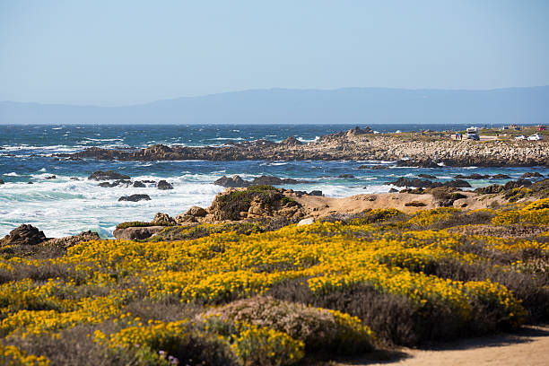 pebble beach - pebble beach california foto e immagini stock