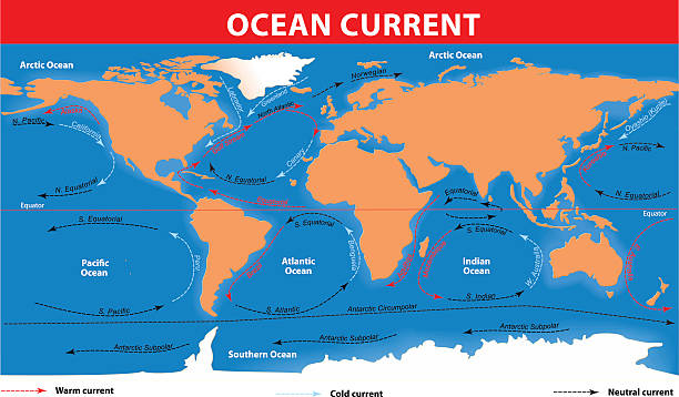ilustrações de stock, clip art, desenhos animados e ícones de superfície do oceano correntes - equator