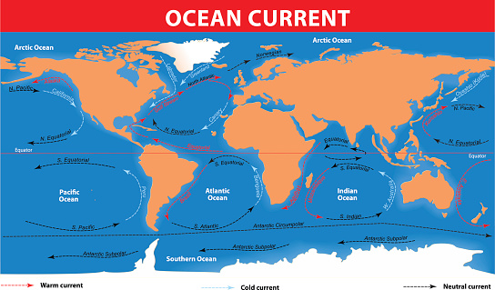 The ocean currents. Vector map