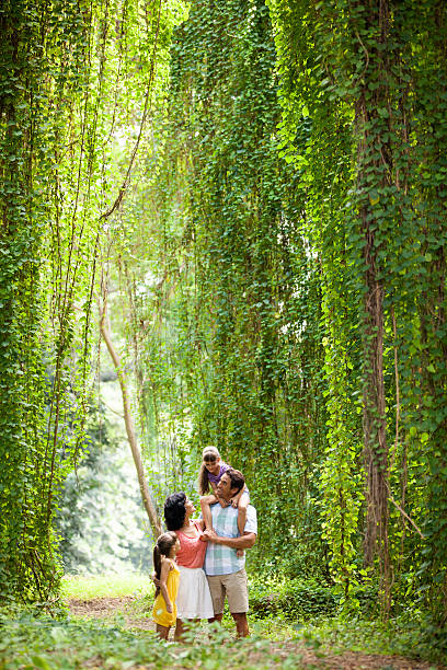 istock Playful family in jungle 500427019