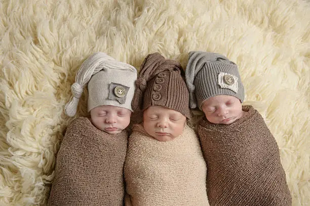 Newborn triplets swaddled while sleeping in a basket.