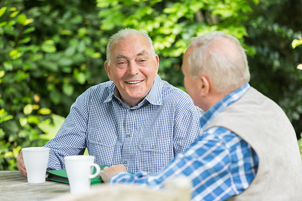 istock Old Friends in the garden 500427261