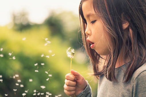 Girl outdoors blowing dandelion seeds.