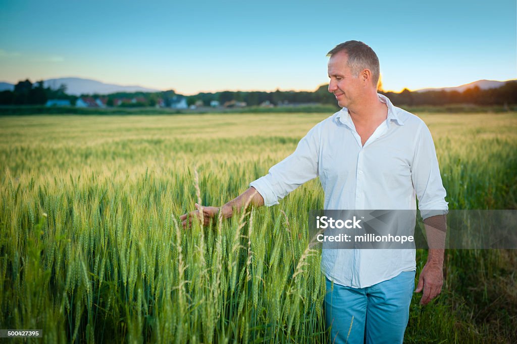 Uma boa colheita - Foto de stock de Agricultor royalty-free