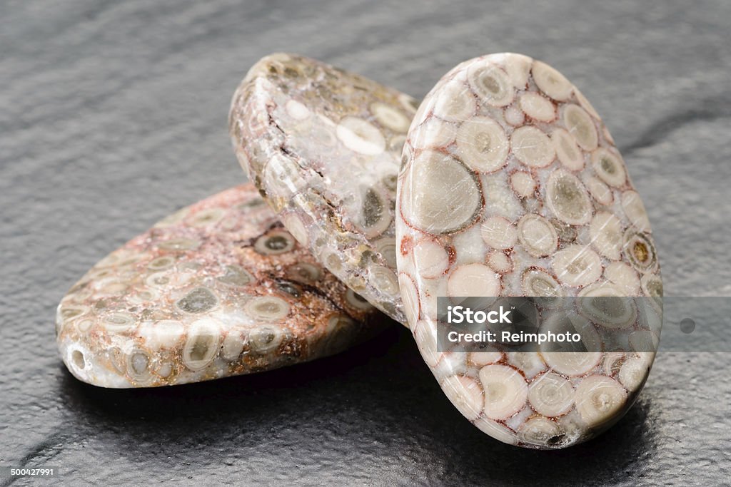 Fossile jasper perles - Photo de Agate libre de droits