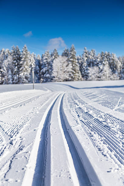 de ski de fond dans le paysage d'hiver - scandinavian cross country ski ski nordic countries photos et images de collection