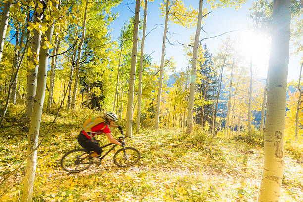istock autumn mountain biking woman 500428819