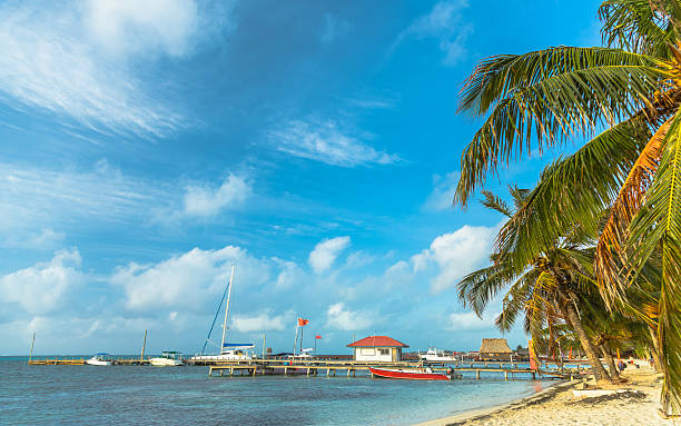 istock San Pedro Town Beach in Belize 500429335