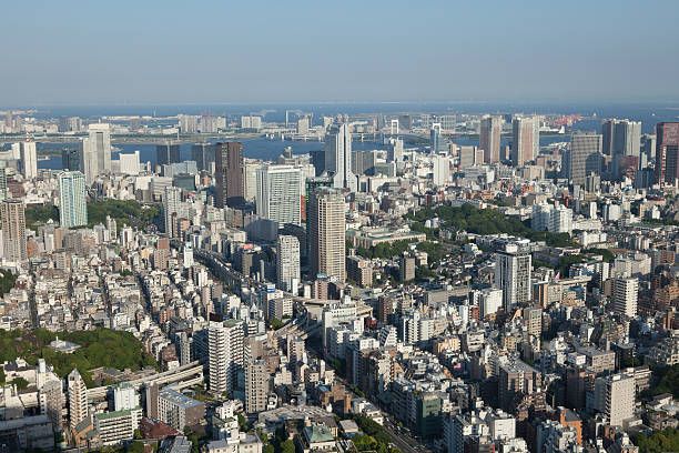 istock Tokyo Skyline in Japan 500429697
