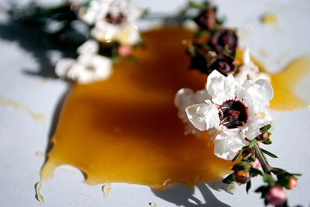 istock Manuka Honey & Flower 500430069