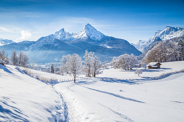 Winter wonderland with trail in the Alps Beautiful winter scenery with trees and mountain tops in the Alps on a sunny day with blue sky and clouds. single lane road footpath dirt road panoramic stock pictures, royalty-free photos & images