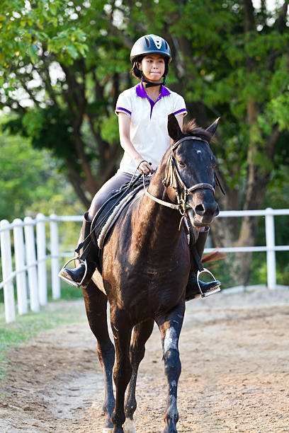 Bela adolescente menina com Vestido castanho passeios a cavalo marrom - foto de acervo