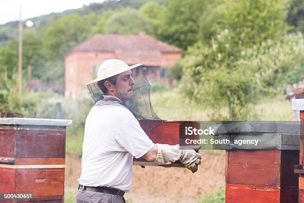 Пчеловод Работает На Своем Apiary — стоковые фотографии и другие картинки Взрослый - Взрослый, Воск, Горизонтальный