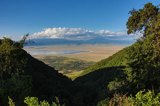 ngorongoro クレータータンザニア概要 - crater rim ストックフォトと画像