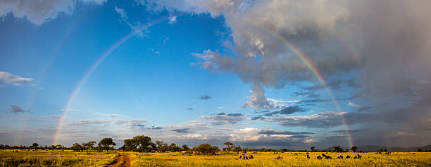 istock Serengeti Panorama with full rainbow 500440709