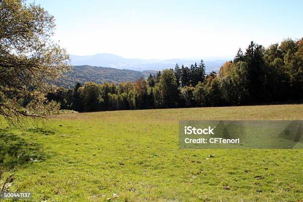 Bavarian Wood Stock Photo - Download Image Now - Autumn, Bavarian Forest, Germany