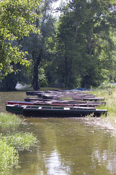 istock Anchored boats in a row 500441519