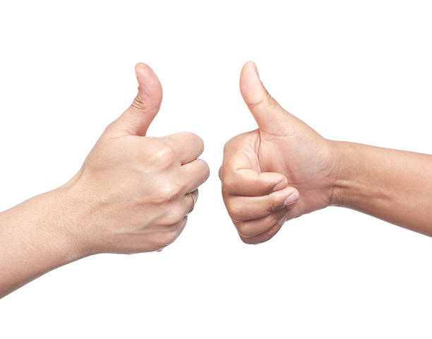 istock Two hand showing thumbs up 500442181