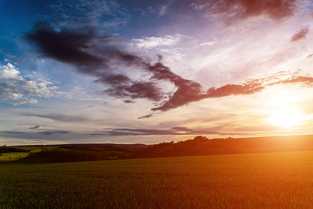 istock Sunset over spring field in country 500442493