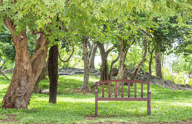 istock wooden bench in the park 500442925