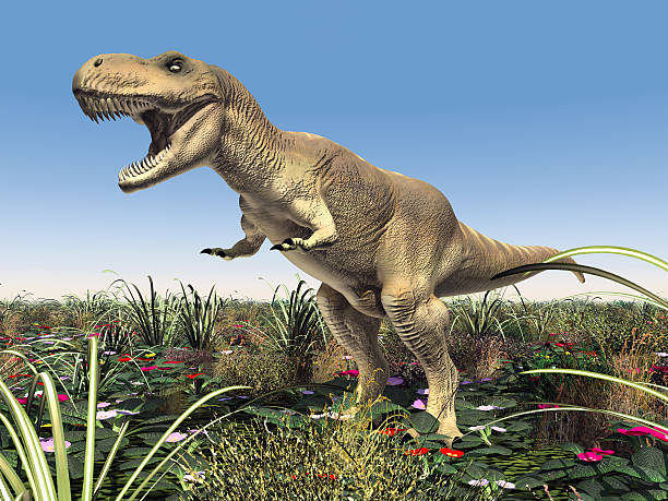 istock Tyrannosaurus Rex 500444035