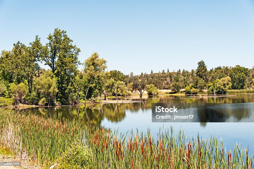 Lago próximo a Mt Akum - Foto de stock de Exterior royalty-free