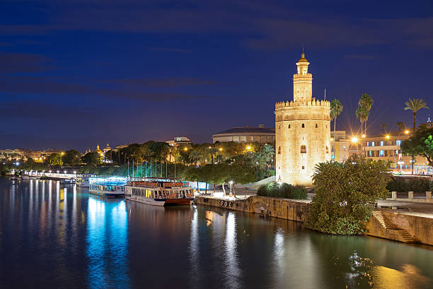 Torre de Oro (Tower of Gold) at night in Seville Torre de Oro (Tower of Gold) at night in Seville, Andalusia sevilla province stock pictures, royalty-free photos & images