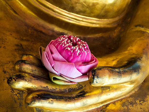 istock Lotus in Buddha's hand at Wat Pho 500452880
