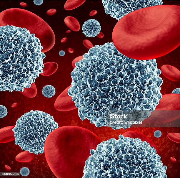 White Blood Cells Stock Photo - Download Image Now - White Blood Cell, Anatomy, Biology
