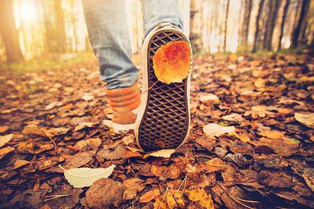 Feet sneakers walking on fall leaves Outdoor Autumn season Feet sneakers walking on fall leaves Outdoor with Autumn season nature on background Lifestyle Fashion trendy style canvas shoe photos stock pictures, royalty-free photos & images