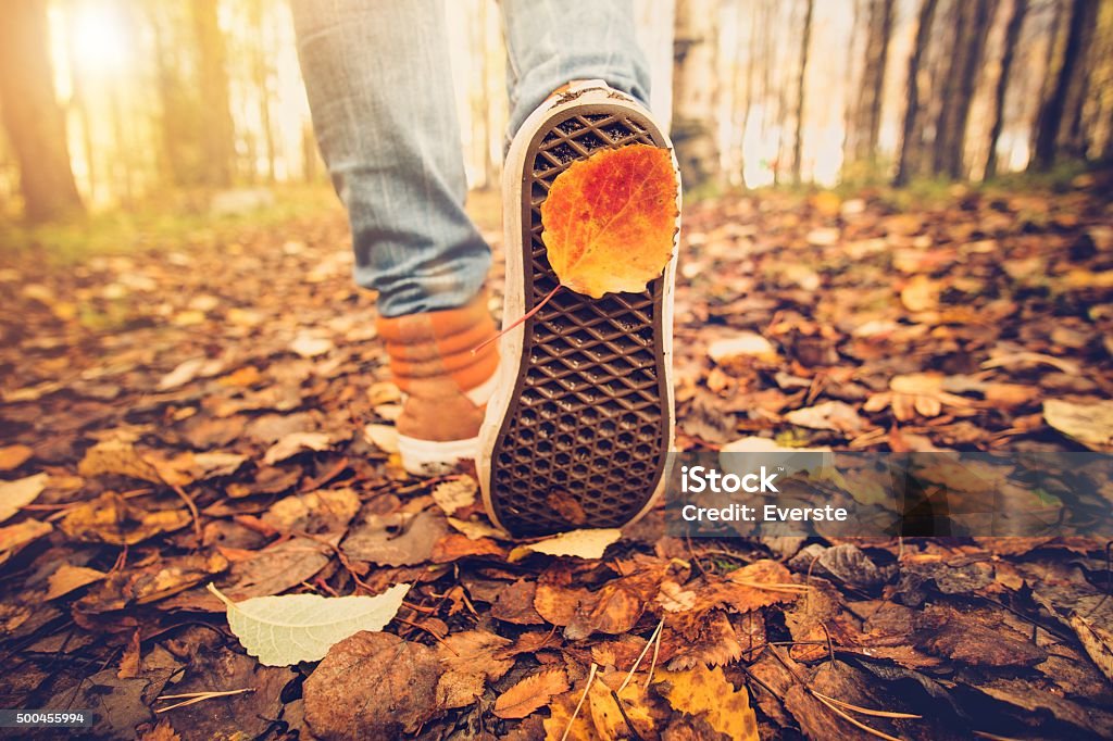 Feet sneakers walking on fall leaves Outdoor Autumn season - Royalty-free Sonbahar Stok görsel