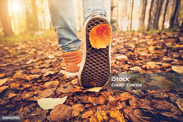 Feet Sneakers Walking On Fall Leaves Outdoor Autumn Season Stok Fotoğraflar & Sonbahar‘nin Daha Fazla Resimleri