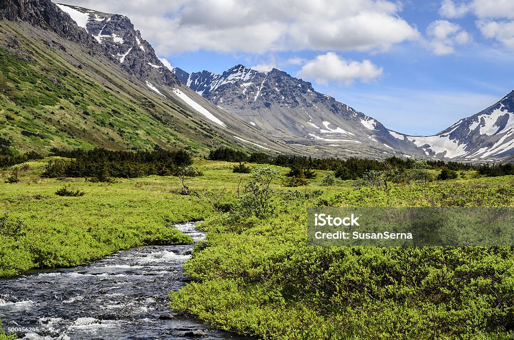 South Fork, Campbell Creek The south fork of Campbell Creek flows through Chugach State Park, Anchorage, Alaska. Alaska - US State Stock Photo