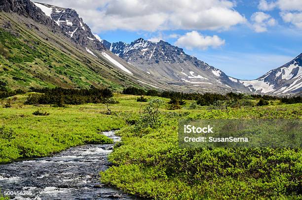South Fork Campbell Creek Stock Photo - Download Image Now - Alaska - US State, Anchorage - Alaska, Chugach Mountains