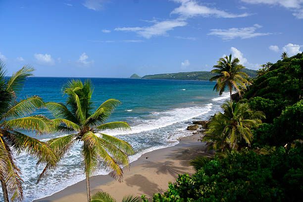 Tropical caribbean beach island view of grand anse beach grenada with people enjoying the beach and sea grenada stock pictures, royalty-free photos & images