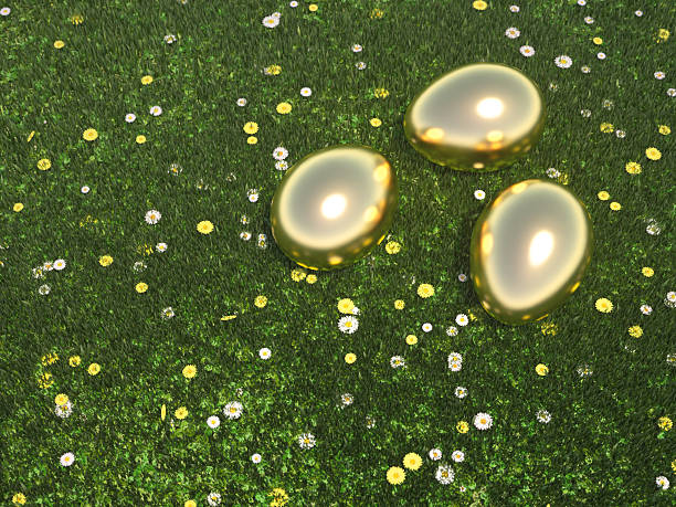 Golden Eggs lying in green meadow stock photo