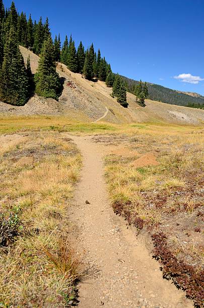 istock Rocky Mountain National Park 500459953