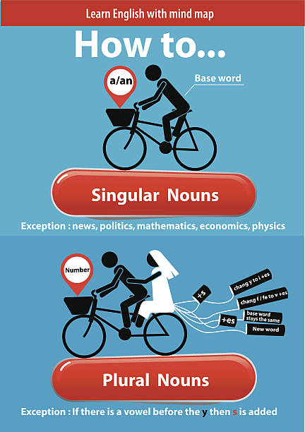 illustrations, cliparts, dessins animés et icônes de vecteurs de apprendre anglais.  singulier et plurielle noms - wisdom university single word student