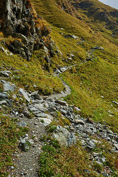 istock Hiking trail in the mountains 500460762