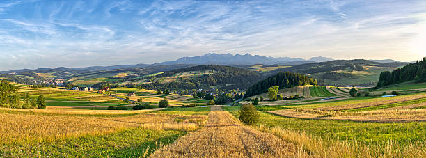 panorama de montanhas de tatra, polónia - poland rural scene scenics pasture imagens e fotografias de stock